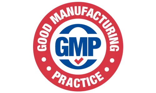Memodyne GMP Standards